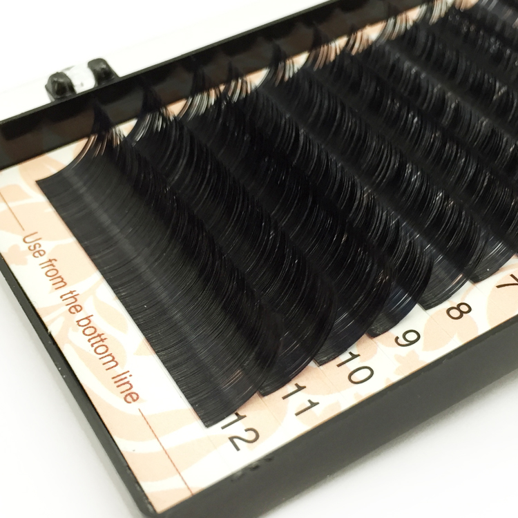 Free Sample for Korea PBT Fiber Russian Volume Eyelash Extension UK USA YY62